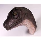Allo Saurus Hoofd – Dinosaurus beeld Lengte 59 cm, Ophalen, Nieuw