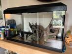 Juwel aquarium 60L met alle toebehoren, Ophalen, Zo goed als nieuw, Gevuld zoetwateraquarium