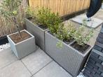 Plantenbakken incl. Planten, Tuin en Terras, Bloembakken en Plantenbakken, Ophalen, Kunststof, Minder dan 60 cm, Rond