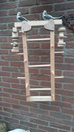 Tekoop zitjes en speeltjes voor vogels, Ophalen of Verzenden, Nieuw, Speelgoed