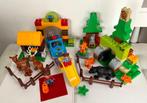 Lego Duplo DIERENTUIN (HET GROTE BOS), Ophalen of Verzenden, Zo goed als nieuw, Complete set, Duplo