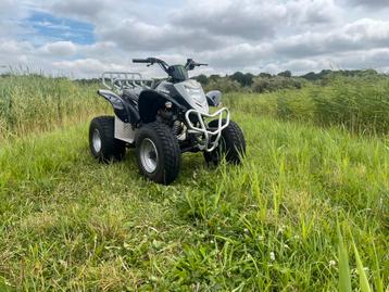 Quad op bromkenteken beschikbaar voor biedingen