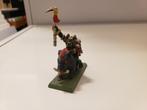 Warhammer orcs shaman on boar, Ophalen of Verzenden, Warhammer, Figuurtje(s), Geverfd