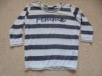 Grijs wit shirt, Kleding | Dames, Maat 46/48 (XL) of groter, Ophalen of Verzenden, Lange mouw, Grijs