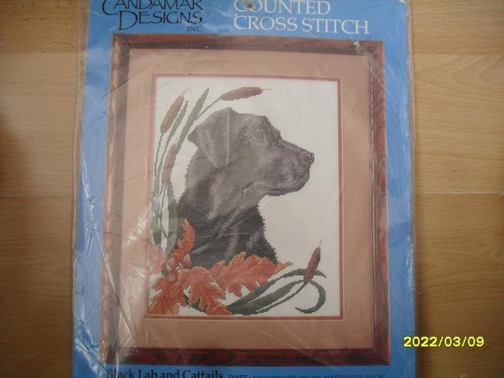 NIEUW, COMPLEET, pakket met Zwarte labrador. Verkoop ook DMC, Hobby en Vrije tijd, Borduren en Borduurmachines, Nieuw, Borduurpakket