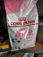 Royal Canin Kitten brokjes 2x 4kg, Whiskas Junior natvoer, Ophalen of Verzenden, Kat