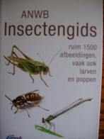 ANWB. Insectengids: ruim 1500 afbeeldingen vaak ook larven, Boeken, Natuur, Heiko Bellmann, Ophalen of Verzenden, Zo goed als nieuw