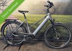 Falter E 6.0 500 – Nieuwe Elektrische fiets met Bosch Motor, Overige merken, Nieuw, Ophalen of Verzenden, 50 km per accu of meer