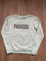 Mint groene dunne trui maat 146/152, Zeeman, Trui of Vest, Ophalen of Verzenden, Zo goed als nieuw