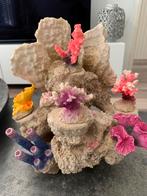 6 delige koraal decoratie voor in een aquarium, Dieren en Toebehoren, Vissen | Aquaria en Toebehoren, Ophalen of Verzenden, Zo goed als nieuw