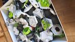 Gravitrax 2 dozen vol met verschillende uitbreidingen, Kinderen en Baby's, Speelgoed | Educatief en Creatief, Ophalen of Verzenden
