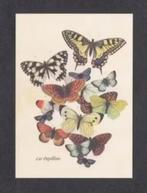 Vlinders Koninginnepage Oranjetipje Koolwitje Blauwtje, Verzamelen, Ansichtkaarten | Dieren, Ophalen of Verzenden, 1980 tot heden