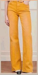 Fabienne Chapot Eva wide leg broek maat 26 *nieuw *, Fabienne Chapot, Ophalen of Verzenden, Nieuw