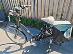 Sparta E Special 53cm, Ophalen, Sparta, Zo goed als nieuw, 51 tot 55 cm