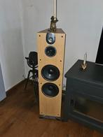 2 Infinity Delta 60 luidsprekers, Audio, Tv en Foto, Luidsprekers, Gebruikt, 120 watt of meer, Front, Rear of Stereo speakers