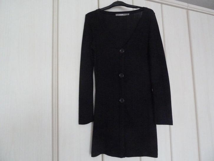 Sanne vest maat S nog nieuw, Kleding | Dames, Truien en Vesten, Nieuw, Maat 36 (S), Blauw, Ophalen of Verzenden