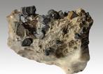 GALENIET kristallen op kalksteen uit België., Ophalen of Verzenden, Mineraal