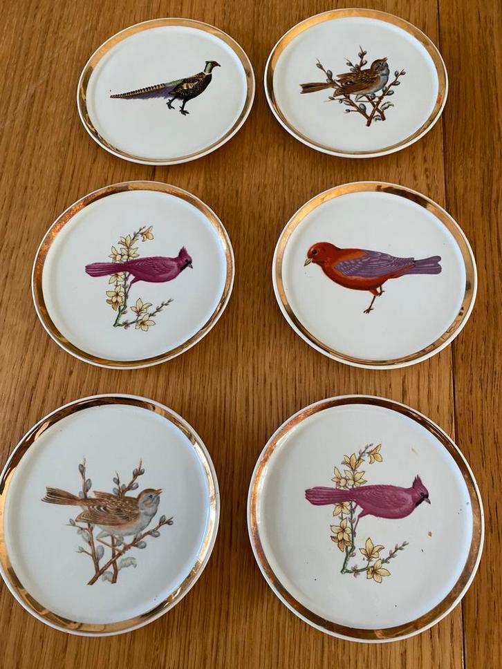 6 stuks Porcelein ONDERZETTERS met VOGELPRINT, Antiek en Kunst, Antiek | Porselein, Ophalen of Verzenden