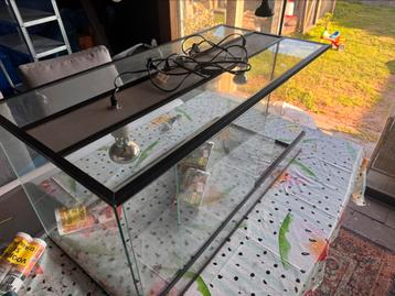 terrarium reptilen beschikbaar voor biedingen