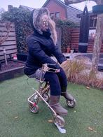 Sarah op rolator, Hobby en Vrije tijd, Feestartikelen, Ophalen of Verzenden, Versiering, Abraham of Sarah