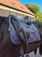 Equestrian Stockholm dark violet, Ophalen of Verzenden, Zo goed als nieuw, Dressuur