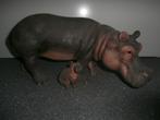 nijlpaard, Verzamelen, Beelden en Beeldjes, Ophalen of Verzenden, Nieuw, Dier