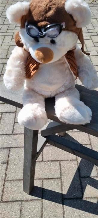 Te koop prachtige mooie schone ongebruikte knuffel beren., Verzamelen, Beren en Cherished Teddies, Stoffen beer, Overige merken