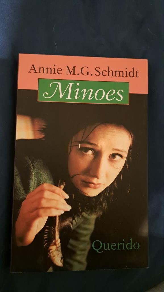 Minoes - Annie M.G. Schmidt, Boeken, Ophalen of Verzenden
