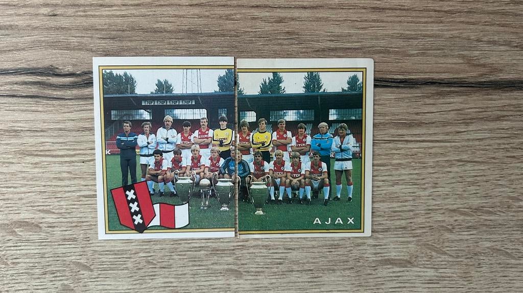Panini Voetbal 83 plaatjes Team Ajax, Ophalen of Verzenden, Zo goed als nieuw, Meerdere plaatjes