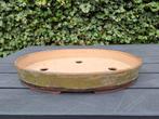 Bonsaischaal Peter Krebs - Uniek handgemaakt exemplaar, Overige materialen, Gebruikt, Minder dan 60 cm, Ophalen of Verzenden