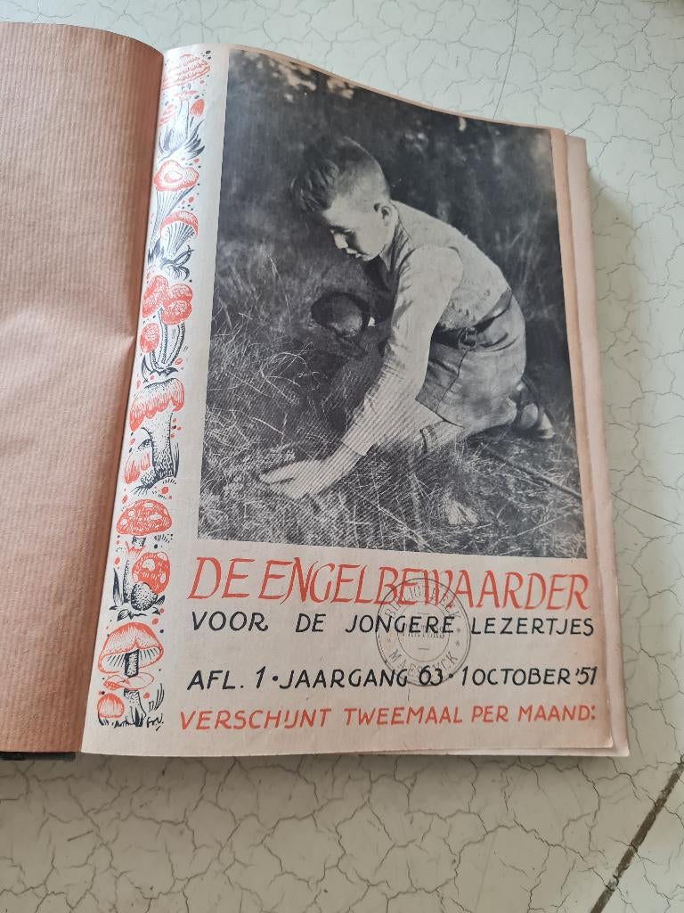 3 boeken met gebundelde bladen engelbewaarder voor jonge, Boeken, Tijdschriften en Kranten, Ophalen of Verzenden, Gelezen, Overige typen