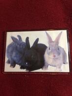 Magneet Konijnen Konijn 10 x 6.5, Nieuw, Ophalen of Verzenden, Nieuw, Dier