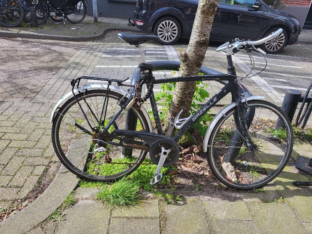 Gazelle ultimate, Ophalen, Gebruikt, Heren, Geen vering