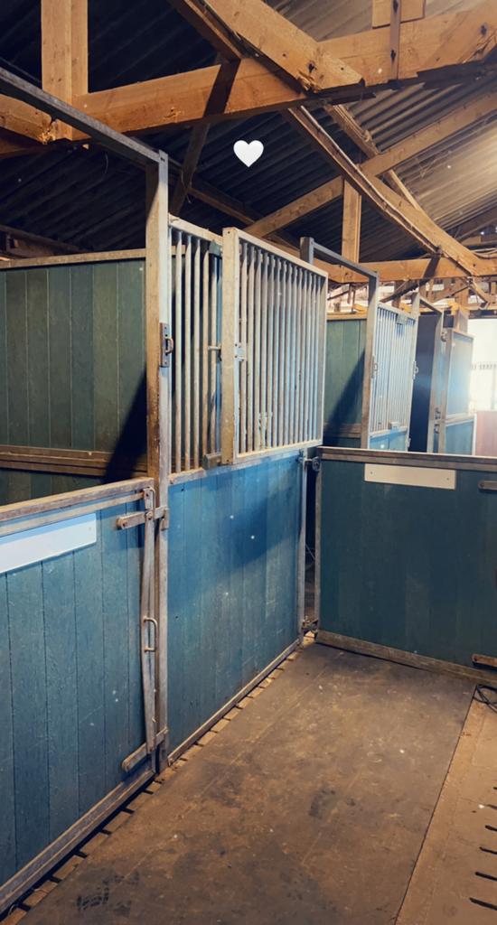 Per 1 juni 1x uitloopstal en 4x binnenbox te huur, Dieren en Toebehoren, Stalling, 4 paarden of pony's of meer