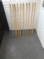 Nature | Bamboestokken | 1m hoog | Ø 18-20 mm | per stuk, Ophalen, Gebruikt