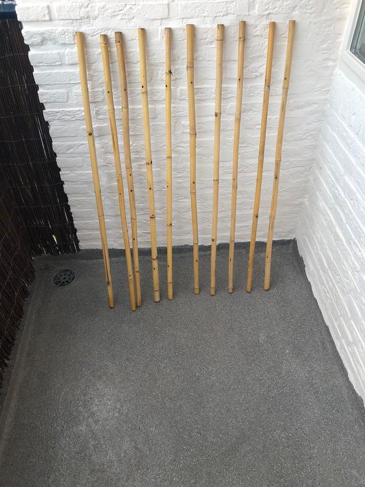 Nature | Bamboestokken | 1m hoog | Ø 18-20 mm | per stuk, Tuin en Terras, Overige Tuin en Terras, Gebruikt, Ophalen