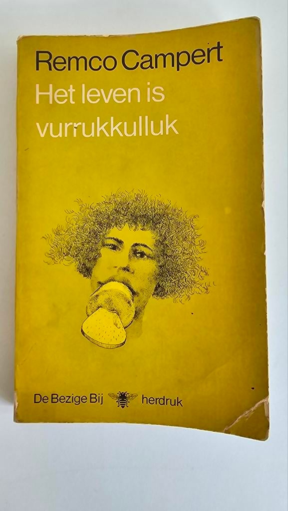 Remco Campert - Het leven is vurrukkulluk (Herdruk), Ophalen of Verzenden, Gelezen, Remco Campert, Nederland