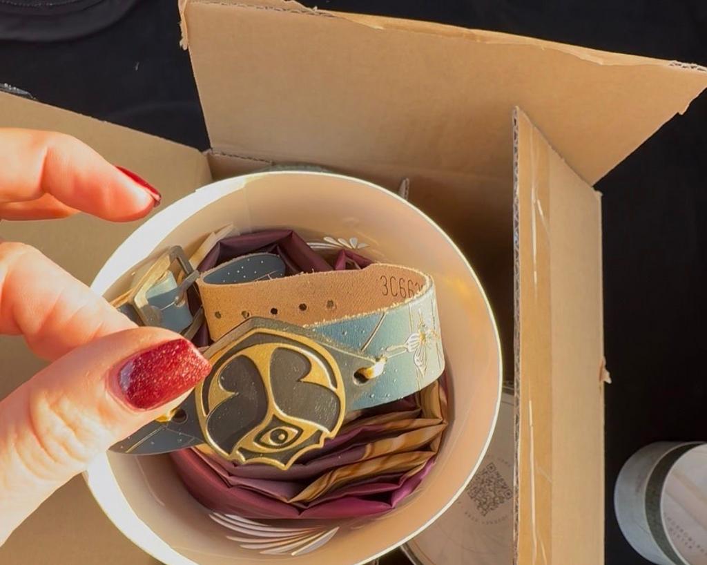 Tomorrowland winter tickets met verblijf op toplocatie!, Tickets en Kaartjes, Twee personen