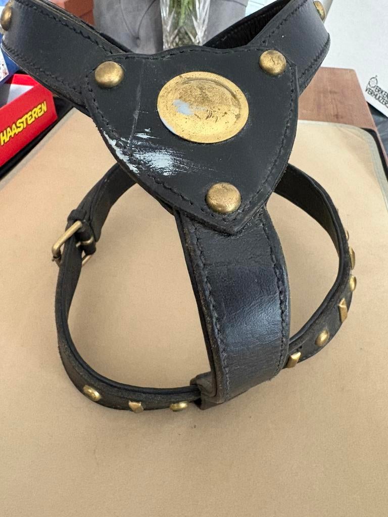 Halsband/tuig/harnas, Ophalen of Verzenden, Gebruikt