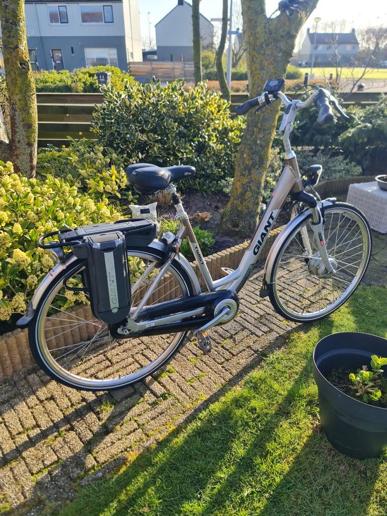 Giant twist hybride double te koop, Ophalen, Gebruikt