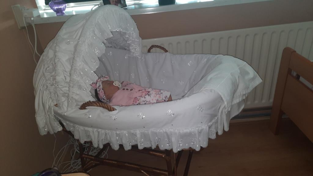 Rotan wiegje, Kinderen en Baby's, Babywiegjes en Ledikanten, Ophalen, Zo goed als nieuw, Wieg