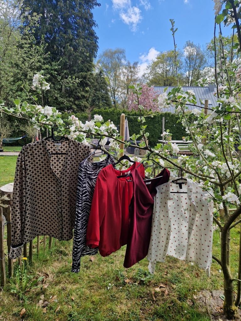 5x Prachtige Dames Kleding - Blouses & Tops, Ophalen of Verzenden, Gedragen, Maat 38/40 (M), Overige kleuren