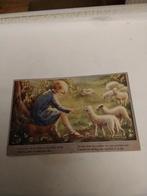 MEISJE. MET LAMMETJES. 1947, Ophalen of Verzenden, 1940 tot 1960, Kinderen