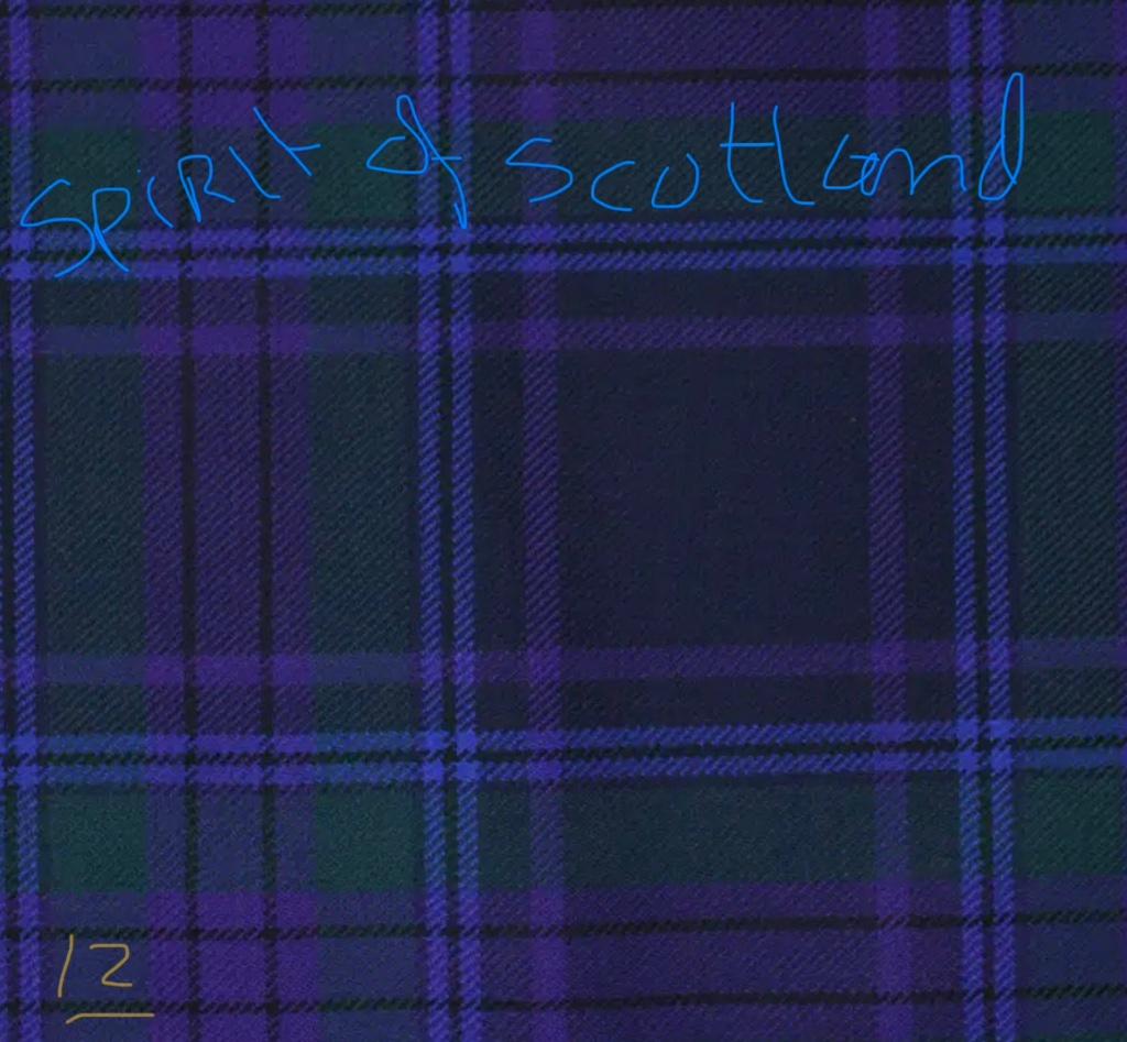 Schotse Tartan Spirit of Scotland Wol MARTON MILLS CO LTD, Wol, Overige kleuren, 120 cm of meer, Ophalen of Verzenden