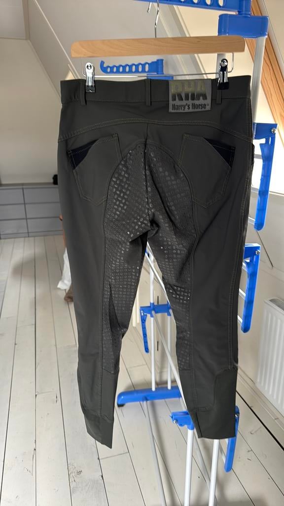Groene rijbroek Harrys Horse maat 42, Ophalen of Verzenden, Zo goed als nieuw, Dressuur, Onderkleding