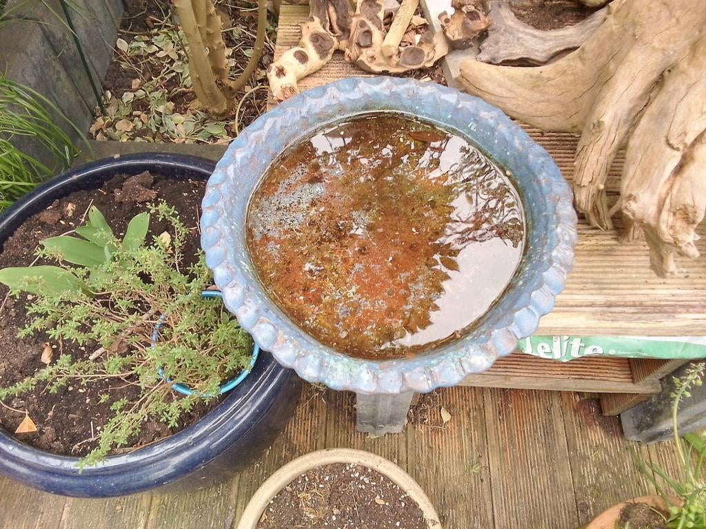 Vogeldrinkschaal aardewerk, 32 cm doorsnede, Tuin en Terras, Ophalen, Gebruikt