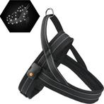 Hondentuigje met LED Verlichting, Ophalen of Verzenden, Verlicht, Nieuw