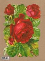 Rode Rozen poezieplaatjes 5103, Ophalen of Verzenden