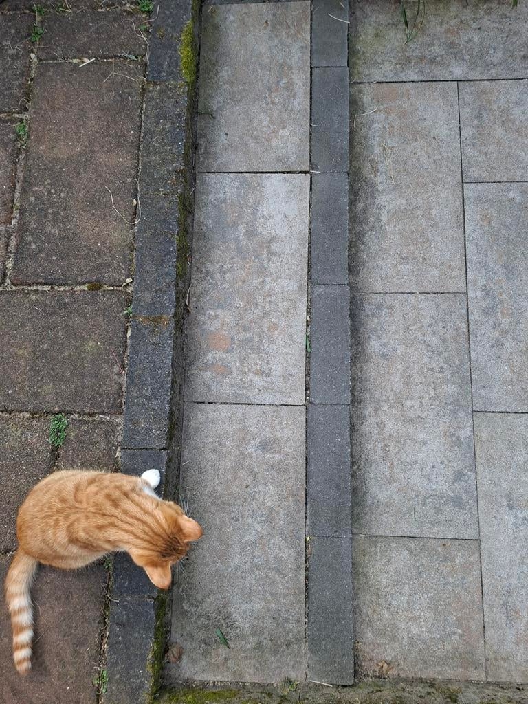 Terrastegels Kilimanjaro Smarton 50x30x4, Tuin en Terras, Tegels en Klinkers, Ophalen, Gebruikt, Beton, Terrastegels