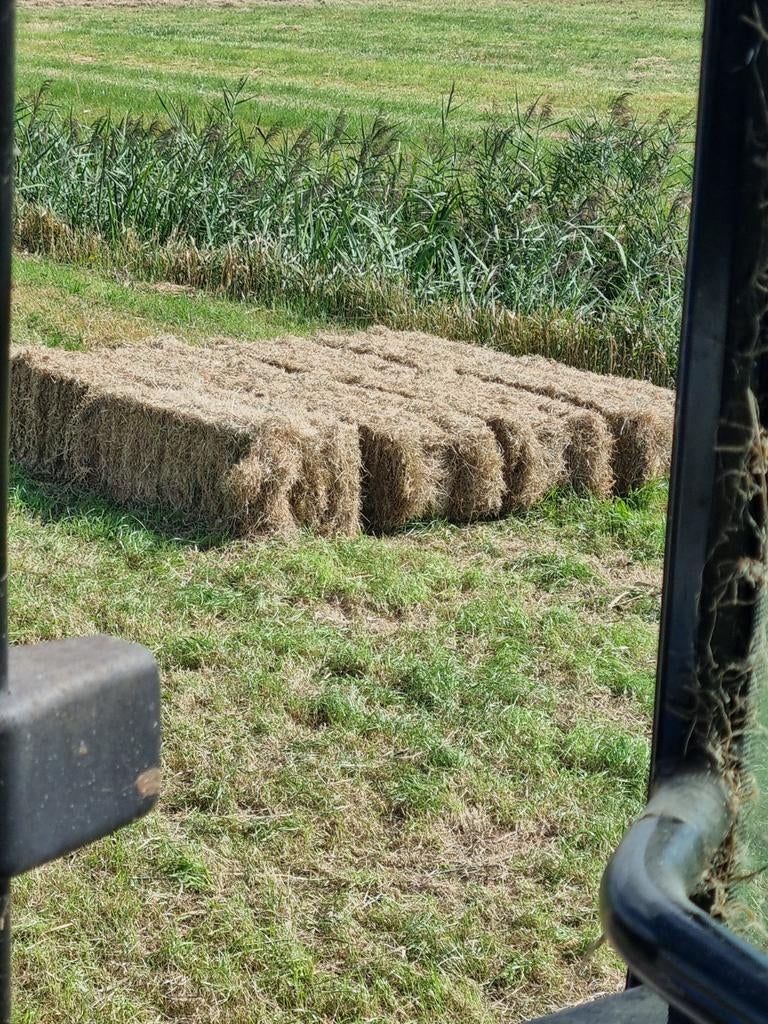 Te koop hooipakjes van 2025, Dieren en Toebehoren, Ophalen of Verzenden, Vee
